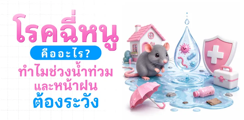 โรคฉี่หนูคืออะไร? ทำไมช่วงน้ำท่วมและหน้าฝน ต้องระวัง