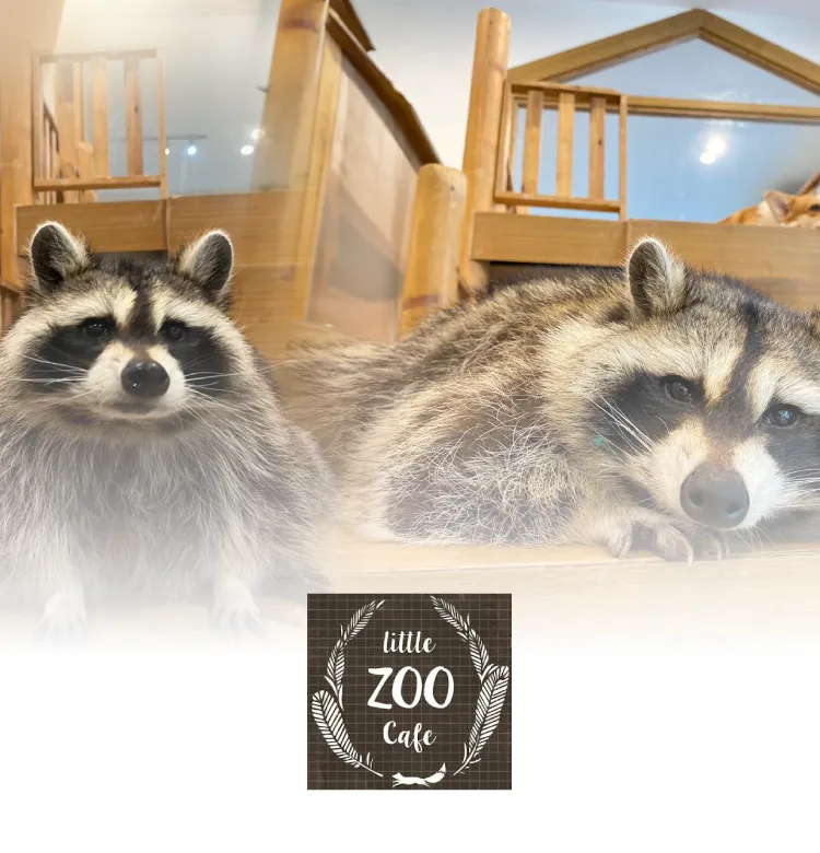 Little Zoo Cafe 750x780 Px