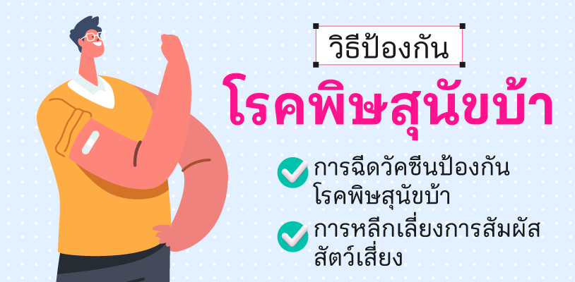 วิธีป้องกันโรคพิษสุนัขบ้า