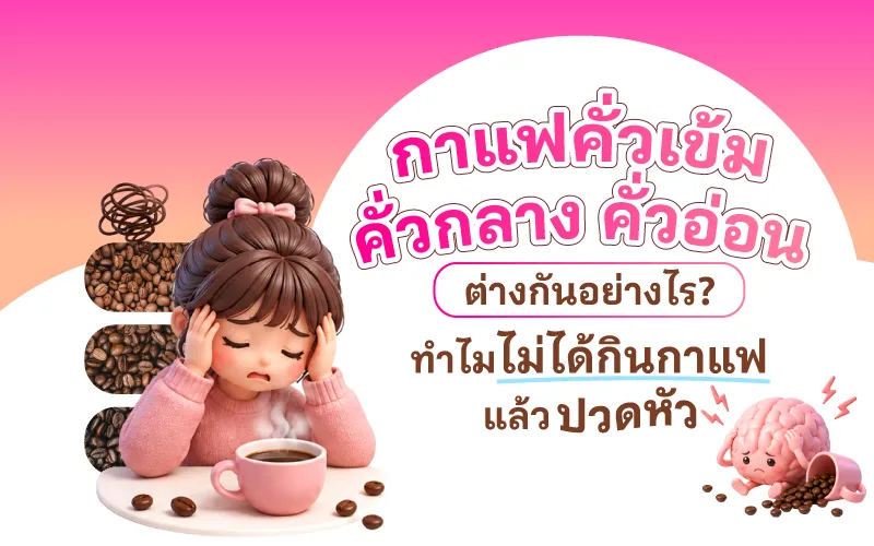 กาแฟคั่วเข้ม คั่วกลาง คั่วอ่อน ต่างกันอย่างไร? ทำไมไม่ได้กินกาแฟแล้วปวดหัว