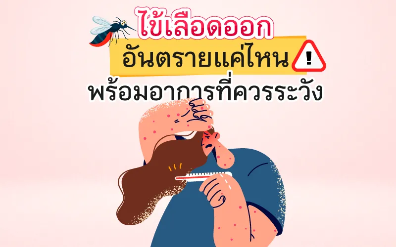 ไข้เลือดออก อันตรายแค่ไหน พร้อมอาการที่ควรระวัง 