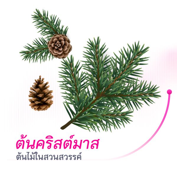 คริสมาสต์