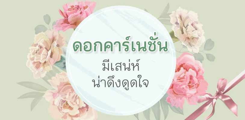 Carnations: Charming and Captivating