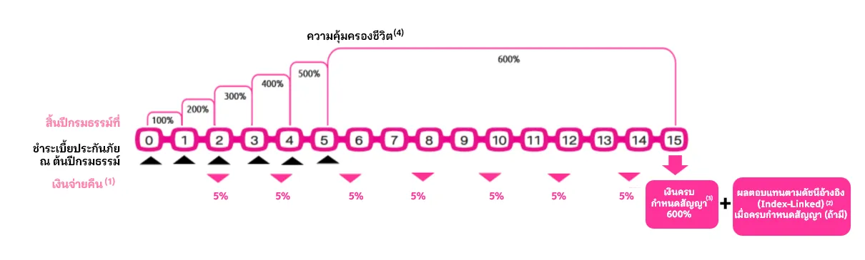 กราฟ 15 6 Th