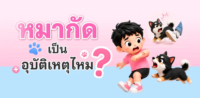 หมากัดเป็นอุบัติเหตุไหม?&nbsp;