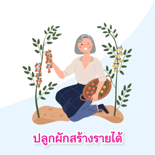 อาชีพสุดเก๋าของคุณแม่วัยเกษียณ Blog4