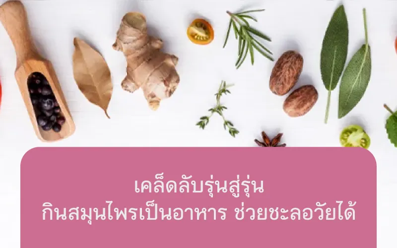 เคล็ดลับรุ่นสู่รุ่นกินสมุนไพรเป็นอาหาร ช่วยชะลอวัยได้