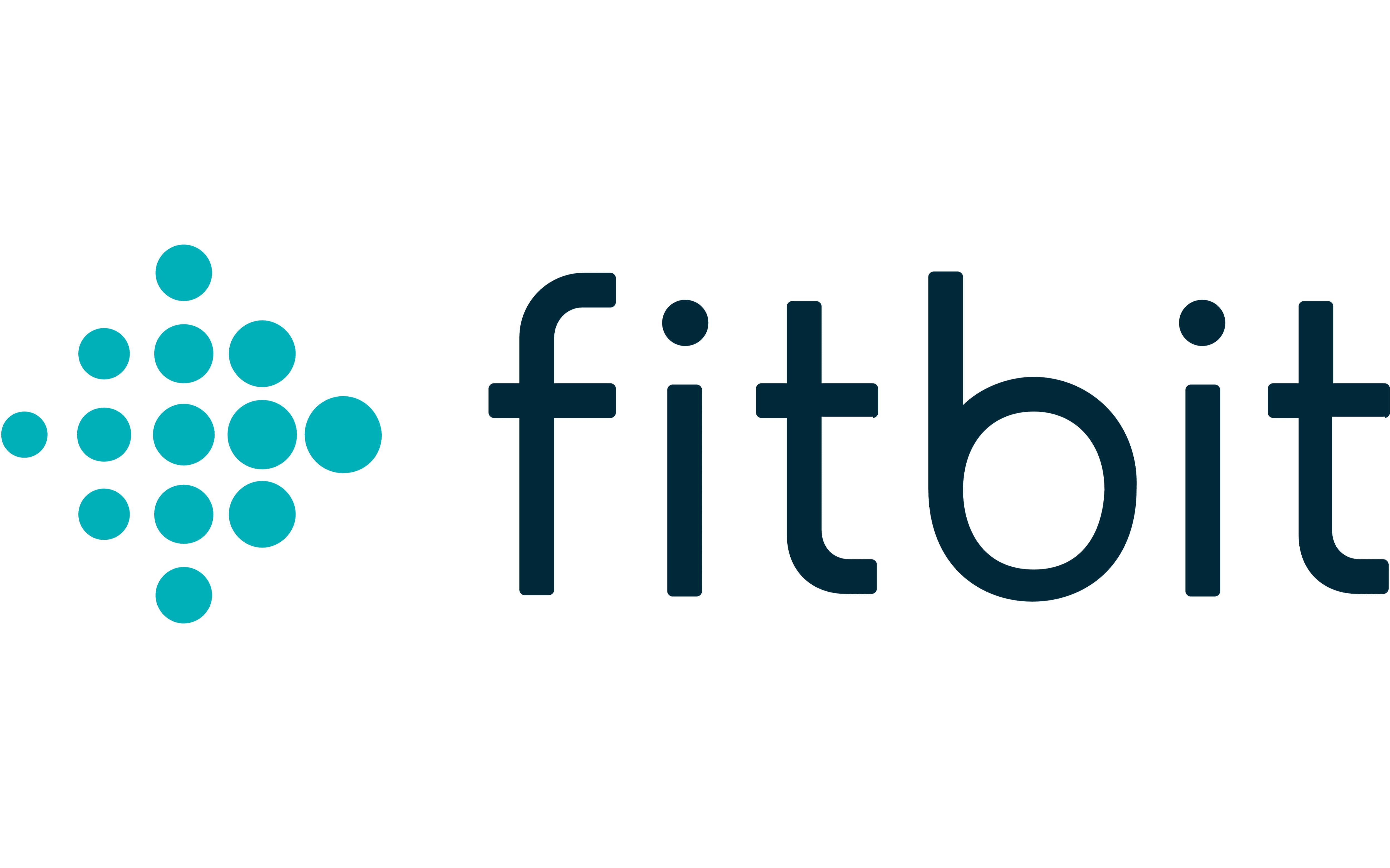 Fitbit-Logo