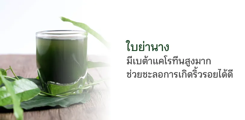 ใบย่านาง