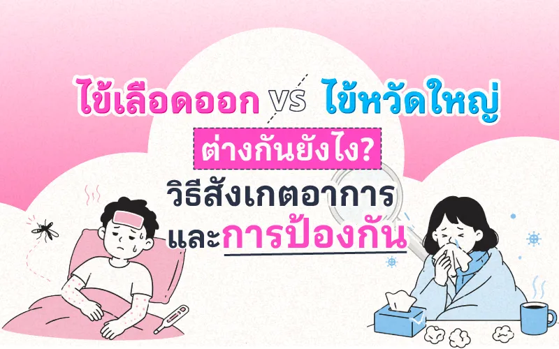 ไข้เลือดออก vs ไข้หวัดใหญ่ ต่างกันอย่างไร? วิธีสังเกตอาการและการป้องกัน