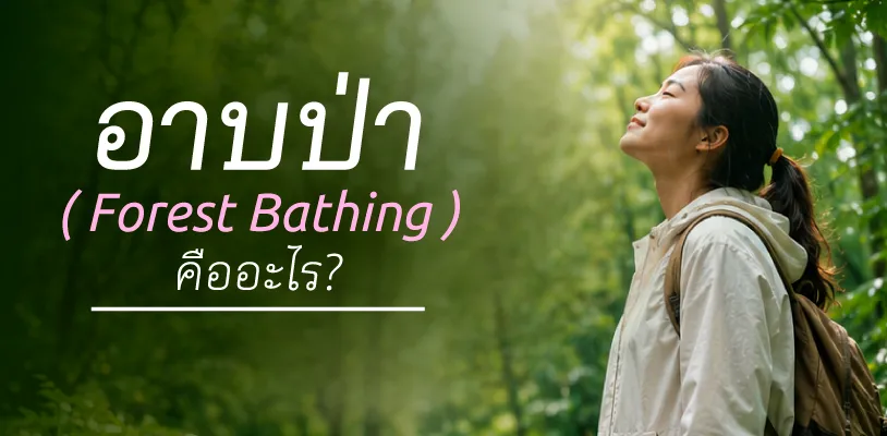 อาบป่า (Forest Bathing) คืออะไร?