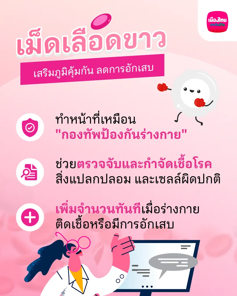 ทำไมเม็ดเลือดขาวถึงสำคัญต่อสุขภาพของเรา?