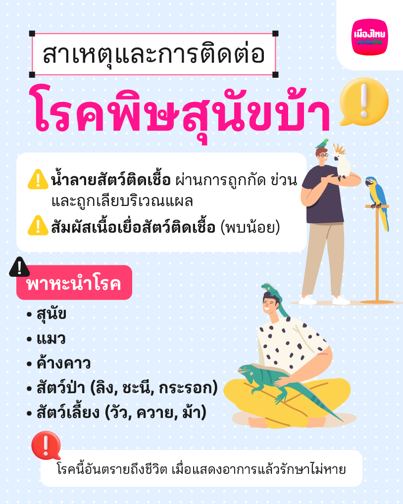 สาเหตุและการติดต่อของโรคพิษสุนัขบ้า