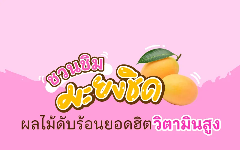 Thumbnail มะยงชิด Cover 800x500
