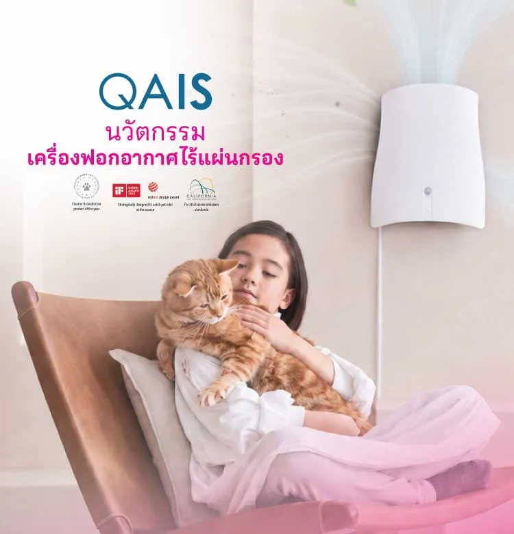 Qais 750x780