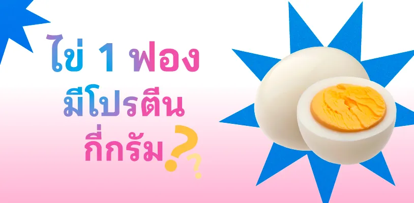 ไข่ 1 ฟองมีโปรตีนกี่กรัม