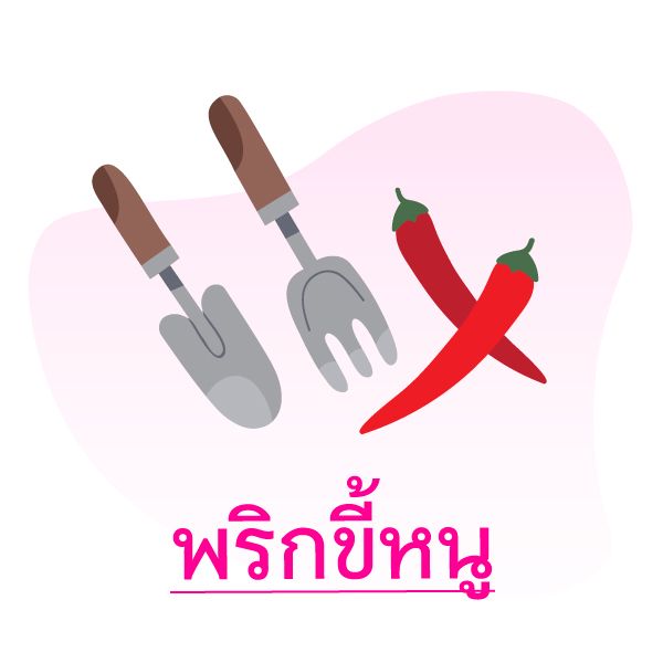 5ผักสวนครัว ปลูกง่ายในฤดูฝน Blog1