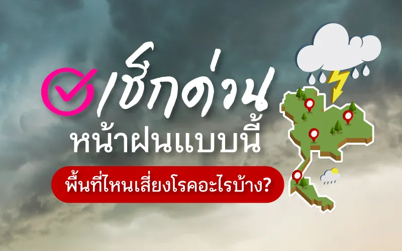 Check Now! In this rainy season, what areas are at risk of what diseases?