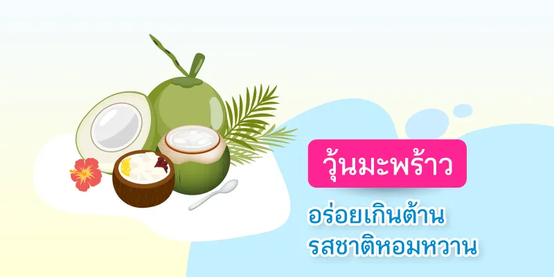 Blog อาชีพเสริมรับ Summer 800x400 วุ้นมะพร้าว