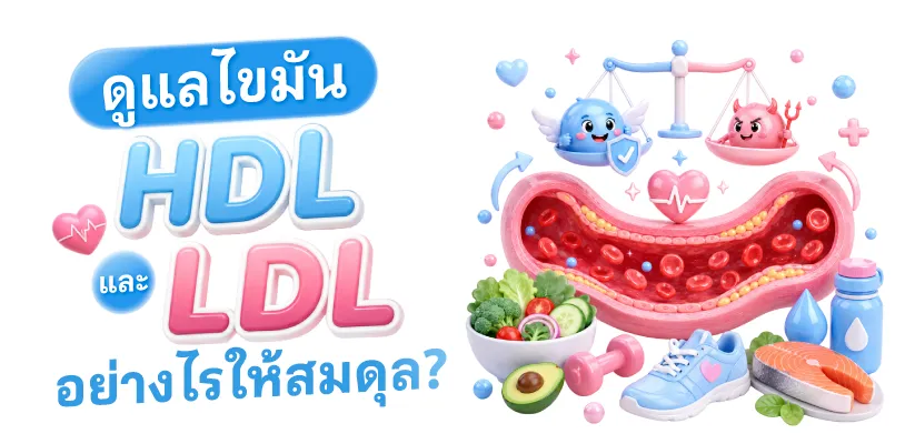 ดูแลไขมัน HDL และ LDL อย่างไรให้สมดุล?