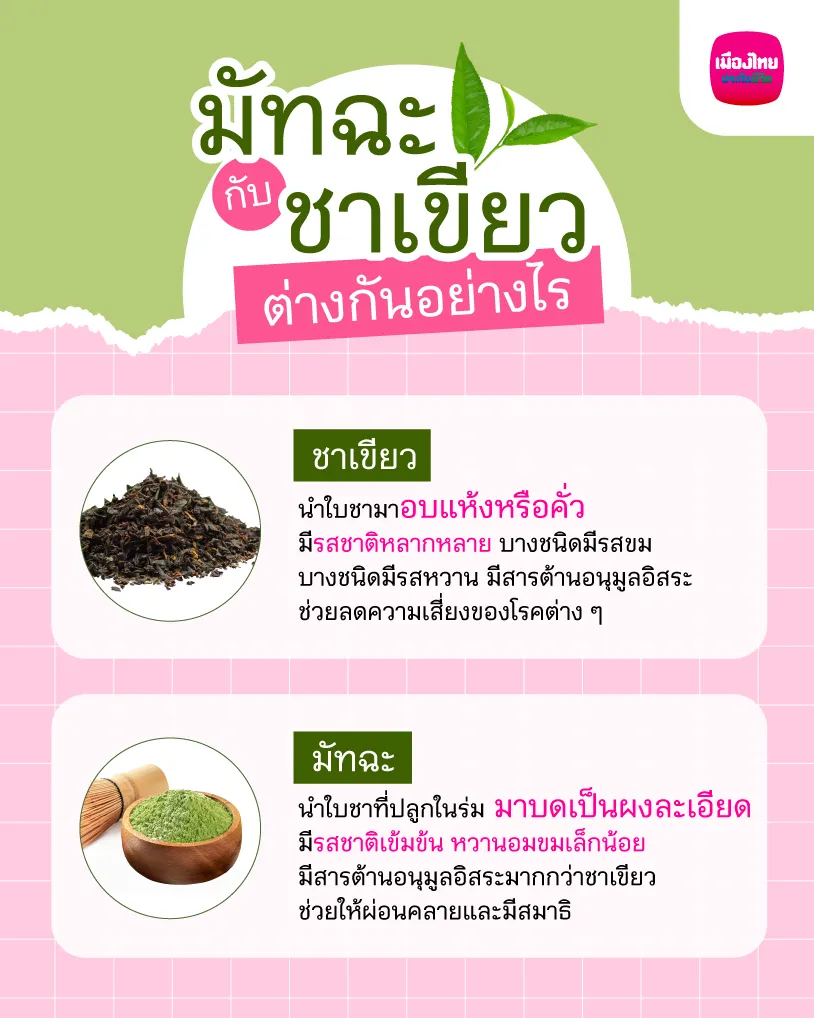 มัทฉะ กับ ชาเขียว ต่างกันอย่างไร