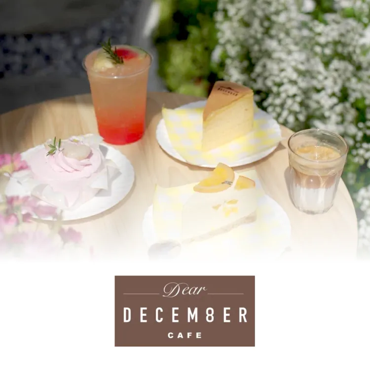 Dear December 750x780 Px