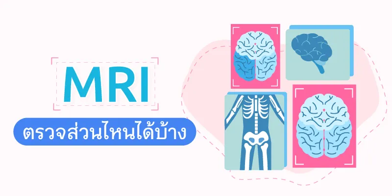Which Part of Body Can be Examined by MRI?