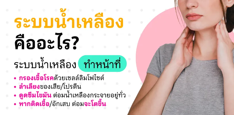 ระบบน้ำเหลืองคืออะไร