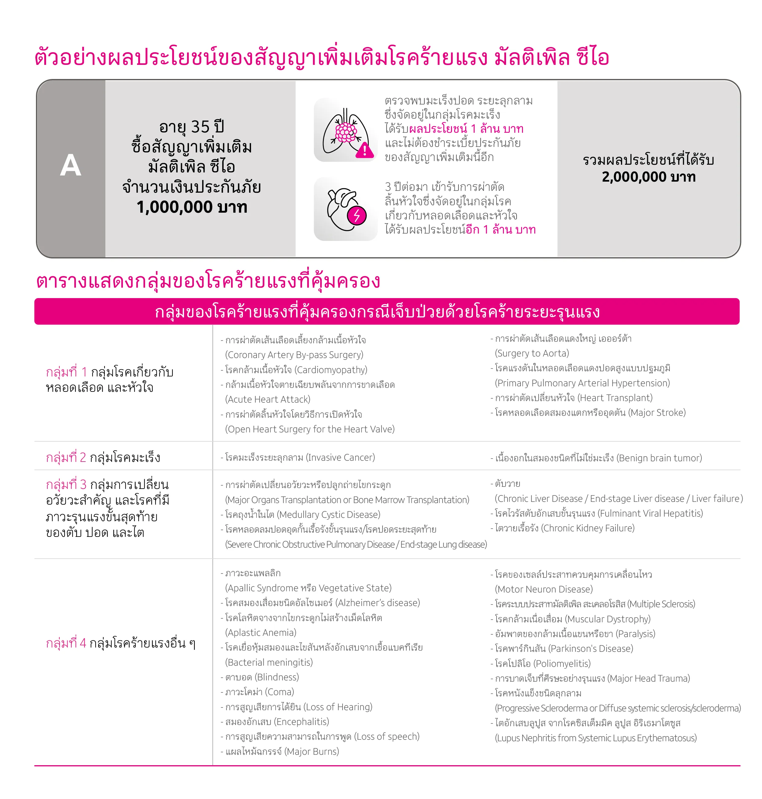 04 0234 โบรชัวร์ สัญญาเพิ่มเติม มัลติเพิล ซีไอ Forweb Th