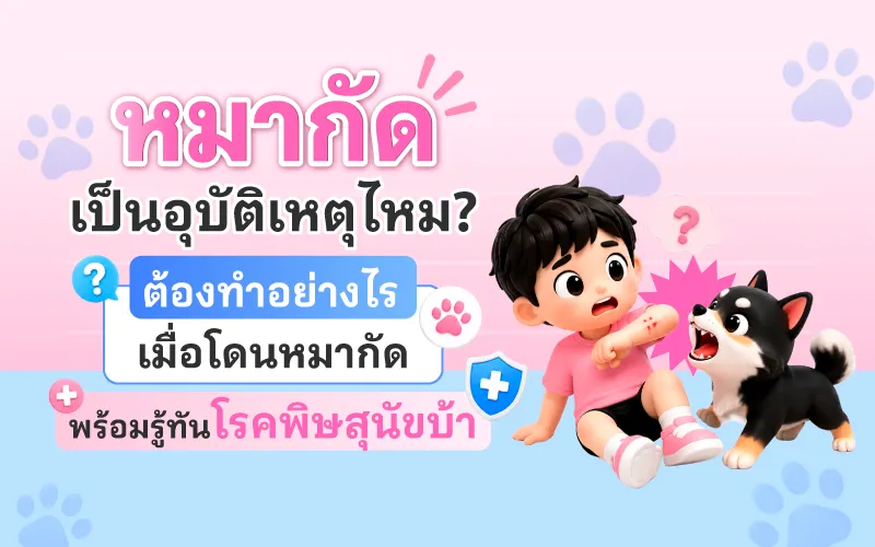 หมากัดเป็นอุบัติเหตุไหม? ต้องทำอย่างไรเมื่อโดนหมากัด พร้อมรู้ทันโรคพิษสุนัขบ้า