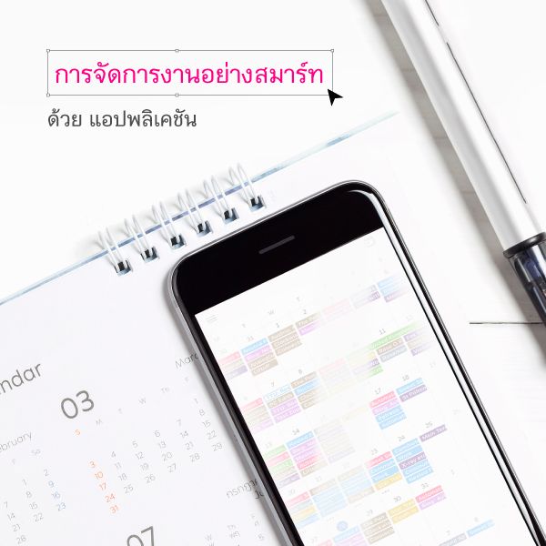 Article600 X60054