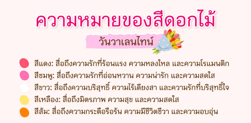 สีของดอกไม้มีความสำคัญอย่างไร