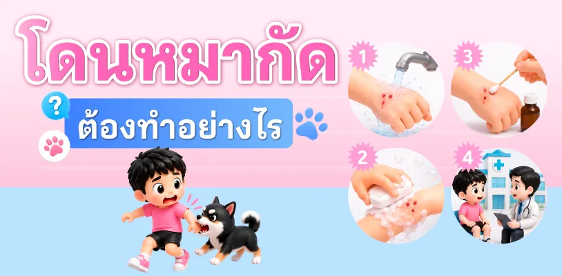 โดนหมากัดต้องทำอย่างไร?