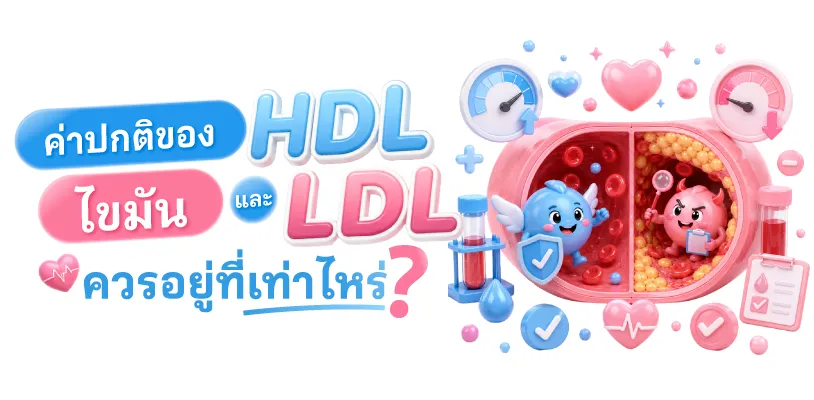 ค่าปกติของไขมัน HDL และ LDL ควรอยู่ที่เท่าไร?