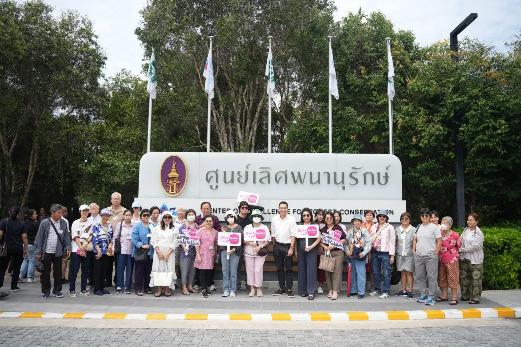 Ds C05181 1040x693