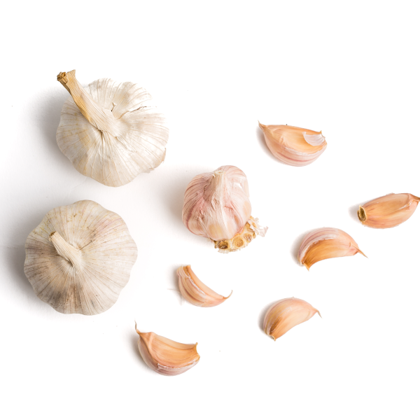 Garlic