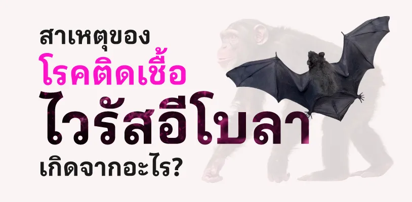 สาเหตุของโรคติดเชื้อไวรัสอีโบลา เกิดจากอะไร