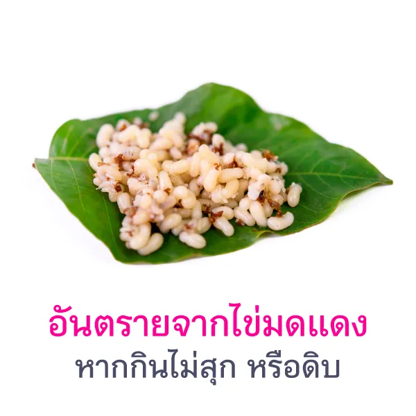 The dangers of eating raw or undercooked ant egg