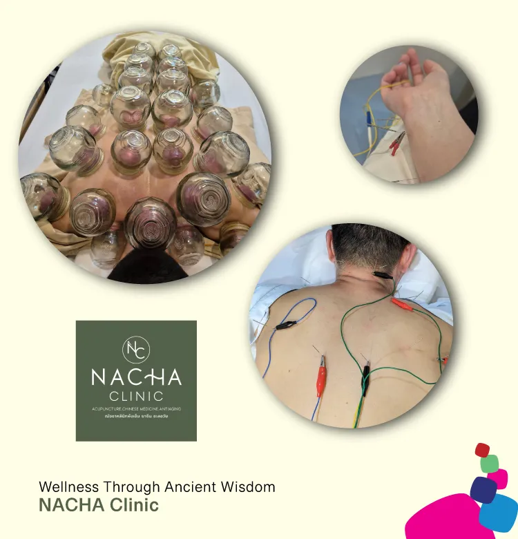 Nacha 750x780px