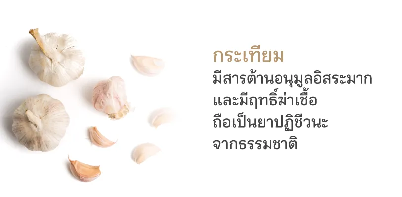 กระเทียม