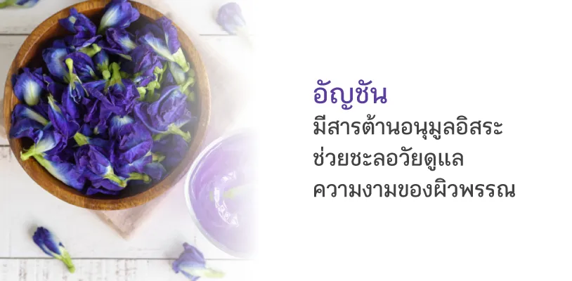อัญชัน