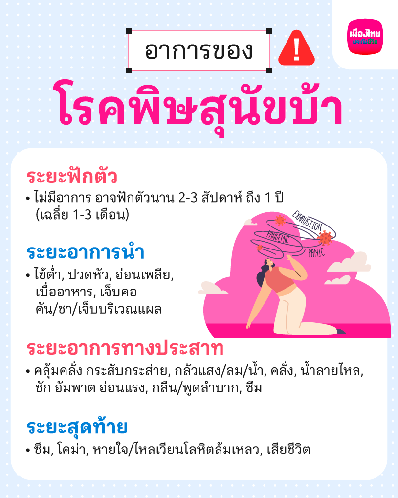 อาการของโรคพิษสุนัขบ้าในระยะต่าง ๆ