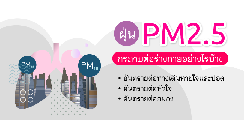 ฝุ่น PM2.5 กระทบต่อร่างกายอย่างไรบ้าง