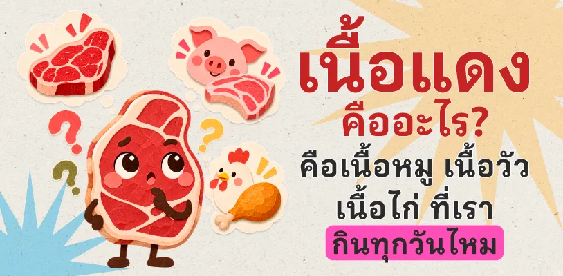 เนื้อแดงคืออะไร? คือเนื้อหมู เนื้อวัว เนื้อไก่ ที่เรากินทุกวันไหม