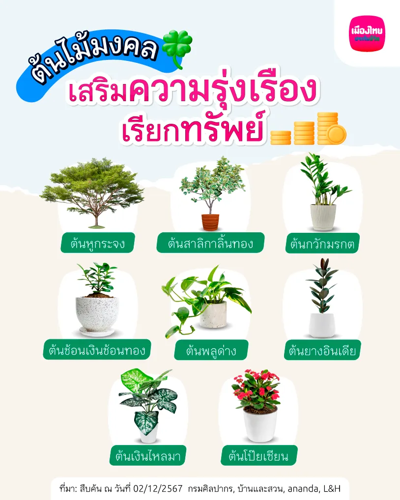 แนะนำต้นไม้มงคล เสริมความรุ่งเรือง เรียกทรัพย์