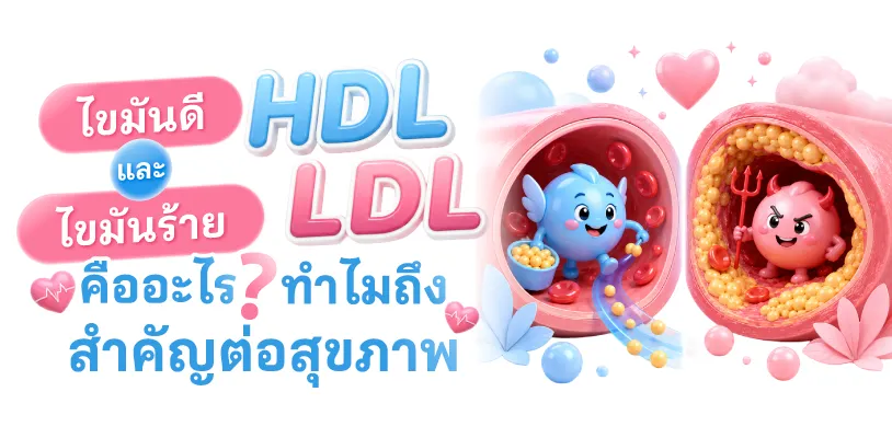 ไขมัน HDL และ LDL คืออะไร? ทำไมถึงสำคัญต่อสุขภาพ