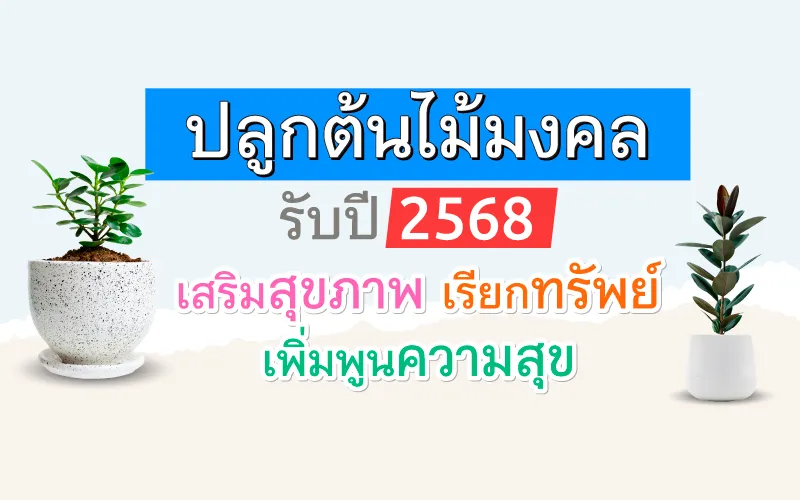 ปลูกต้นไม้มงคล รับปี 2568 เสริมสุขภาพ เรียกทรัพย์ เพิ่มพูนความสุข