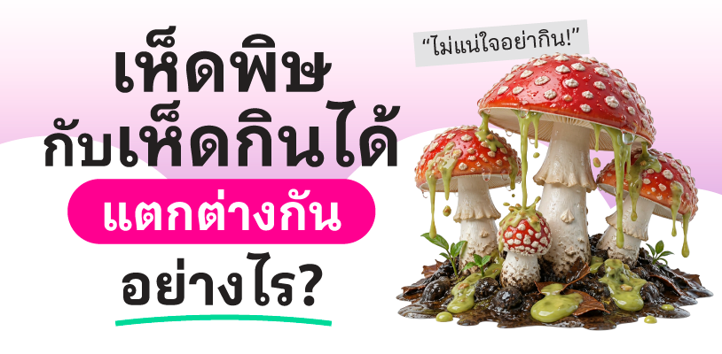 เห็ดพิษกับเห็ดกินได้ แตกต่างกันอย่างไร?