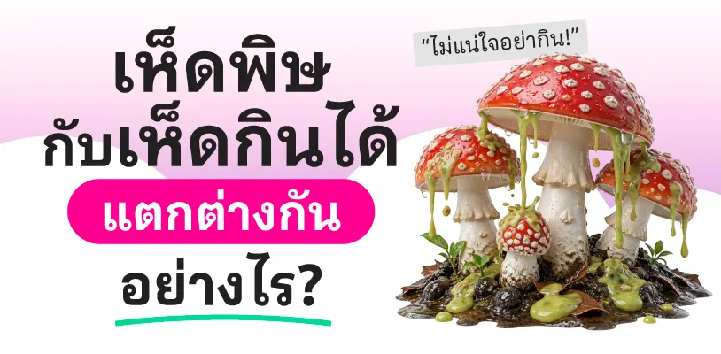 เห็ดพิษกับเห็ดกินได้ แตกต่างกันอย่างไร?