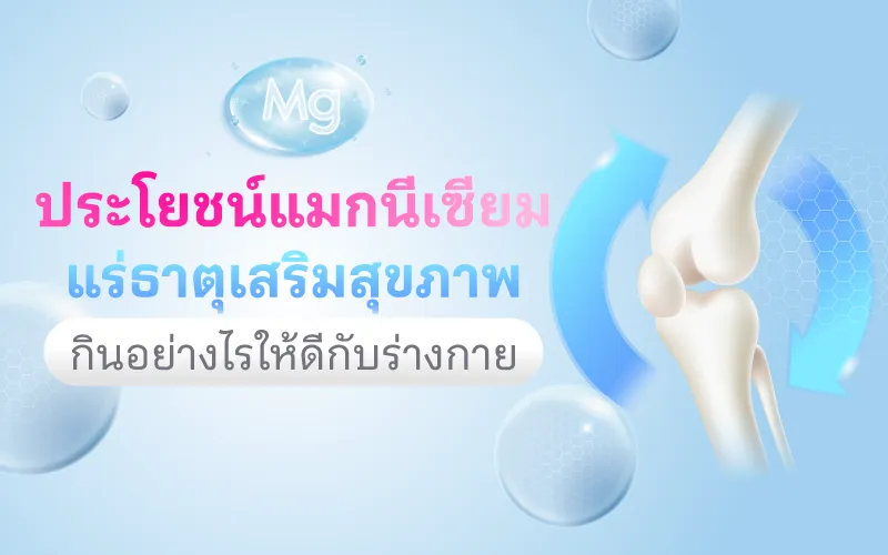 Thumbnail ประโยชน์แมกนีเซียม 800x500